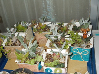 DSCN1702.JPG